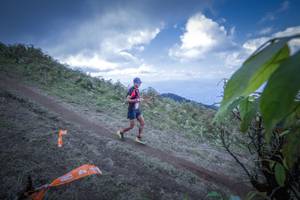 BIB: 504, 005
                            <button type="button" onclick="openModal(15955168)" class="btn btn-primary btn-sm float-right btn-popup" data-toggle="modal" data-target=".modal-high-quality">
                        <i class="fas fa-shopping-cart"></i> Add to Cart
                    </button>
                                            <button type="button" onclick="isThisMe(15955168, true)" class="btn btn-success btn-sm float-right btn-popup btn-isme hidden" data-toggle="tooltip" data-placement="bottom" title="นี่คือรูปของคุณใช่ไหม คลิกที่นี่เพื่อเอาเข้าอัลบั้ม">
                        <i class="fas fa-plus"></i> Add to album
                    </button>
                    <button type="button" onclick="isThisMe(15955168, false)" class="btn btn-warning btn-sm float-right btn-popup btn-isnotme hidden">
                        <i class="fas fa-ban"></i> Remove from album
                    </button>